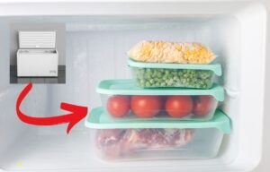 Les Différents Types de Congélateurs