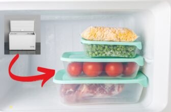 Les Différents Types de Congélateurs